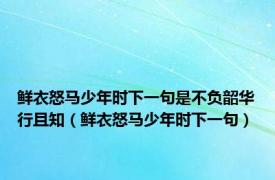 鲜衣怒马少年时下一句是不负韶华行且知（鲜衣怒马少年时下一句）