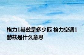 格力1赫兹是多少匹 格力空调1赫兹是什么意思