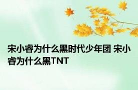 宋小睿为什么黑时代少年团 宋小睿为什么黑TNT 