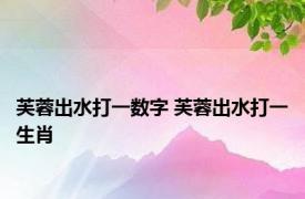 芙蓉出水打一数字 芙蓉出水打一生肖 