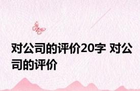 对公司的评价20字 对公司的评价 