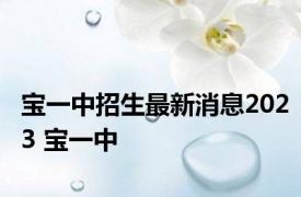 宝一中招生最新消息2023 宝一中 