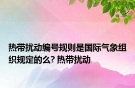 热带扰动编号规则是国际气象组织规定的么? 热带扰动 