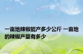 一亩地辣椒能产多少公斤 一亩地的辣椒产量有多少