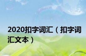 2020扣字词汇（扣字词汇文本）