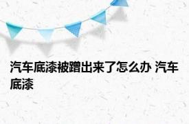 汽车底漆被蹭出来了怎么办 汽车底漆 