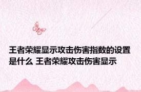 王者荣耀显示攻击伤害指数的设置是什么 王者荣耀攻击伤害显示 