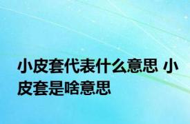 小皮套代表什么意思 小皮套是啥意思