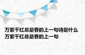 万紫千红总是春的上一句诗是什么 万紫千红总是春的上一句 