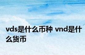 vds是什么币种 vnd是什么货币 