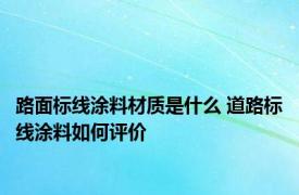 路面标线涂料材质是什么 道路标线涂料如何评价 