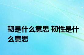 韧是什么意思 韧性是什么意思 