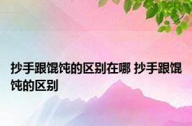 抄手跟馄饨的区别在哪 抄手跟馄饨的区别 