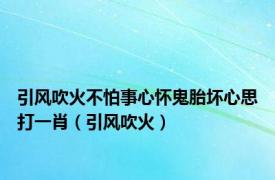 引风吹火不怕事心怀鬼胎坏心思打一肖（引风吹火）