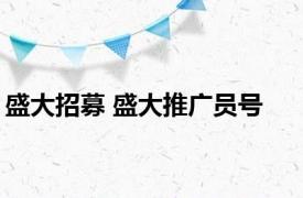 盛大招募 盛大推广员号 