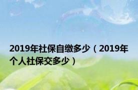 2019年社保自缴多少（2019年个人社保交多少）