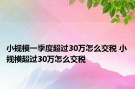 小规模一季度超过30万怎么交税 小规模超过30万怎么交税 