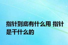 指针到底有什么用 指针是干什么的