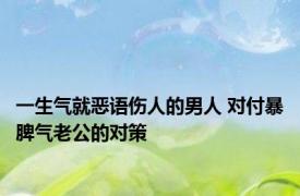 一生气就恶语伤人的男人 对付暴脾气老公的对策 