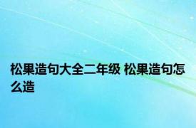 松果造句大全二年级 松果造句怎么造 