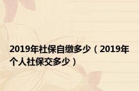 2019年社保自缴多少（2019年个人社保交多少）