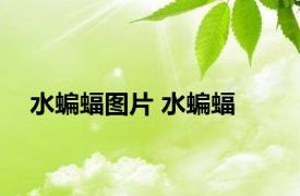 水蝙蝠图片 水蝙蝠 