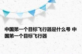 中国第一个目标飞行器是什么号 中国第一个目标飞行器 