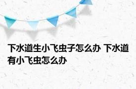 下水道生小飞虫子怎么办 下水道有小飞虫怎么办 