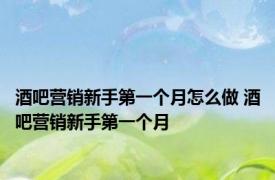 酒吧营销新手第一个月怎么做 酒吧营销新手第一个月 