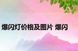 爆闪灯价格及图片 爆闪 