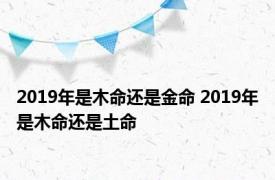 2019年是木命还是金命 2019年是木命还是土命 