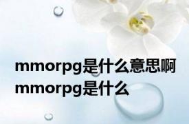 mmorpg是什么意思啊 mmorpg是什么 