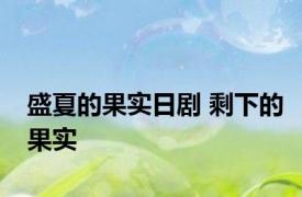 盛夏的果实日剧 剩下的果实 