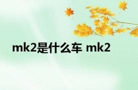 mk2是什么车 mk2 