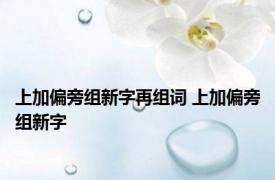 上加偏旁组新字再组词 上加偏旁组新字 