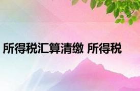 所得税汇算清缴 所得税 