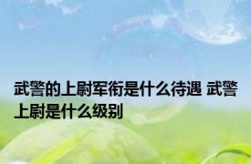 武警的上尉军衔是什么待遇 武警上尉是什么级别