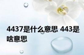 4437是什么意思 443是啥意思