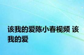 该我的爱陈小春视频 该我的爱 