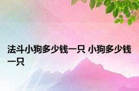 法斗小狗多少钱一只 小狗多少钱一只 