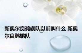 新奥尔良鹈鹕队以前叫什么 新奥尔良鹈鹕队 