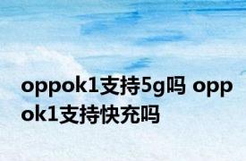 oppok1支持5g吗 oppok1支持快充吗 