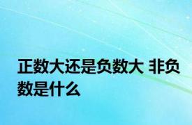 正数大还是负数大 非负数是什么 