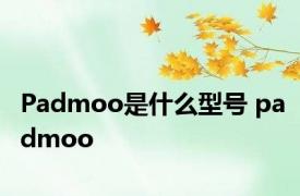 Padmoo是什么型号 padmoo 