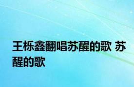 王栎鑫翻唱苏醒的歌 苏醒的歌 