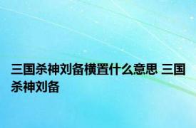 三国杀神刘备横置什么意思 三国杀神刘备 