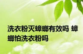 洗衣粉灭蟑螂有效吗 蟑螂怕洗衣粉吗