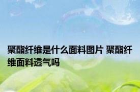 聚酯纤维是什么面料图片 聚酯纤维面料透气吗