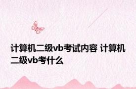 计算机二级vb考试内容 计算机二级vb考什么 