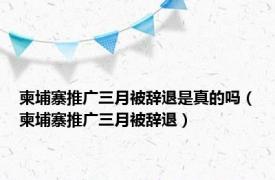 柬埔寨推广三月被辞退是真的吗（柬埔寨推广三月被辞退）